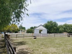 -BabyA 专业婴童摄影(古北时尚广场店)