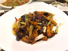 -食家鸽园