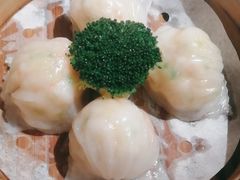-南海渔村(珠江新城店)