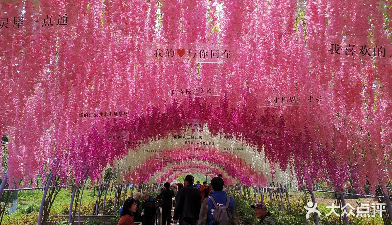 环境不错，花很多，很漂亮