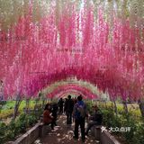 环境不错，花很多，很漂亮
