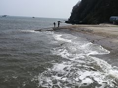 -大鹿岛