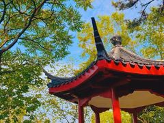 -九华山公园