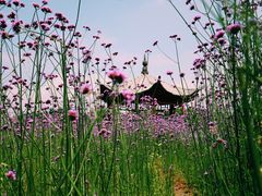 -杭州城北体育公园