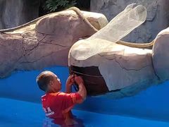 -郑州方特水上乐园