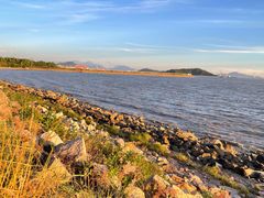 -宝安西湾红树林湿地公园