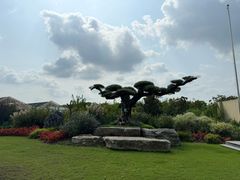 -海上花岛玫瑰园采摘