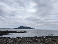 -涉地可支