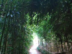 -竹子庵公园