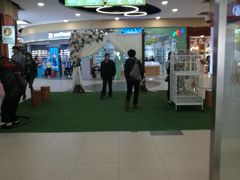 -大润发(勤业店)