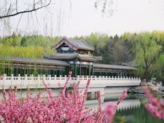 -北宫国家森林公园