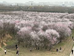-明秦王墓遗址