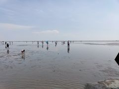 -奉贤海滩