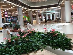 -盒马鲜生(丁香国际店)