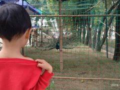 -广东花都香草世界旅游度假区