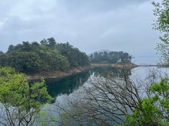 -千岛湖东南湖区