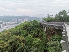 -福道