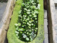 -老屋咖啡