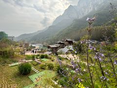 -太行锡崖沟旅游度假区