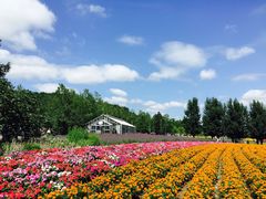 -富田农场