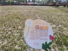 -菊园百果园