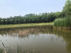 -东郊湿地公园