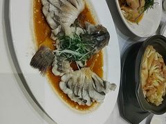 -稻香酒家·35年老字号(侨光店)