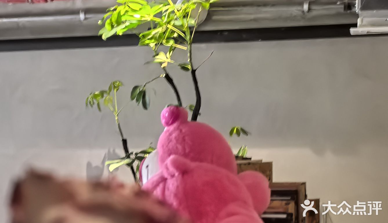 咖啡馆特调饮品