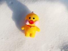 -北京亚布洛尼朝阳公园滑雪场