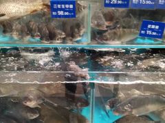 -伊藤洋华堂(温江店)