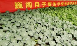 点击看大图 -巍阁月子中心(南山店)