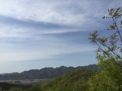 -小慧大桃观光采摘园