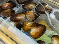 -十八字金·银饰·开蚌DIY·手工体验团建(君太百货店)