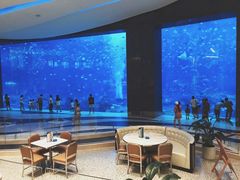 -亚特兰蒂斯•OSSIANO奥西亚诺海底餐厅