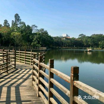 地理位置:金山植物公园