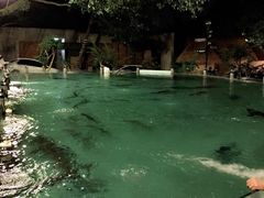 天怡梅溪湖鱼馆-天怡·鱼工厂(梅溪湖店)