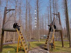 -黄海国家森林公园