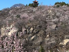 -白水寺森林公园