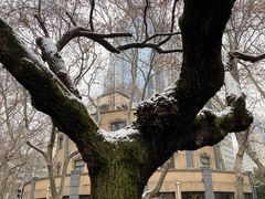 -颐和路民国时期公馆风貌区