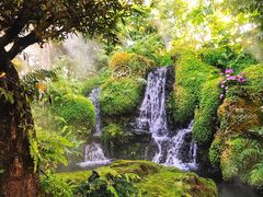 -Chom Cafe and Restaurant