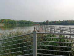 -美兰湖景区