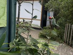 -湖南别院·美学庭院餐厅(惠阳店)