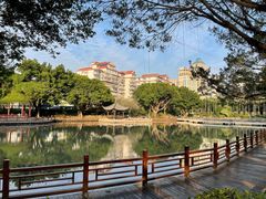 -光明港公园