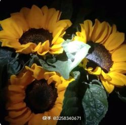 -HEYAN荷妍专业脱毛连锁机构