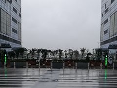 -金鸡湖景区