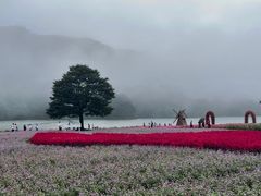 -广州市石门国家森林公园