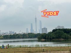 -海珠湖公园