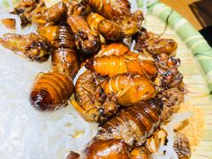 -鸽子窝(宋庄店)