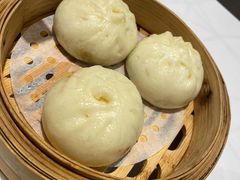 眉州老面手工包子-眉州东坡(远洋未来广场店)
