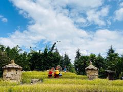 -云南民族村